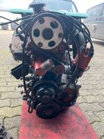 Motor Ford Escort Capri MK1 MK2 RS2000 2.0l OHC Nordrhein-Westfalen - Hamminkeln Vorschau