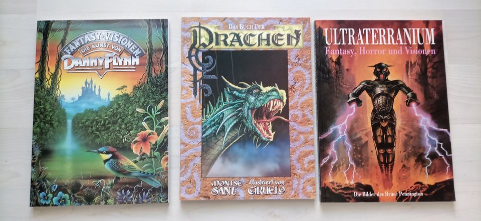 3 FANTASY Bände,DANNY FLYN,Buch der Drachen,ULTRATERRANIUM in Rostock