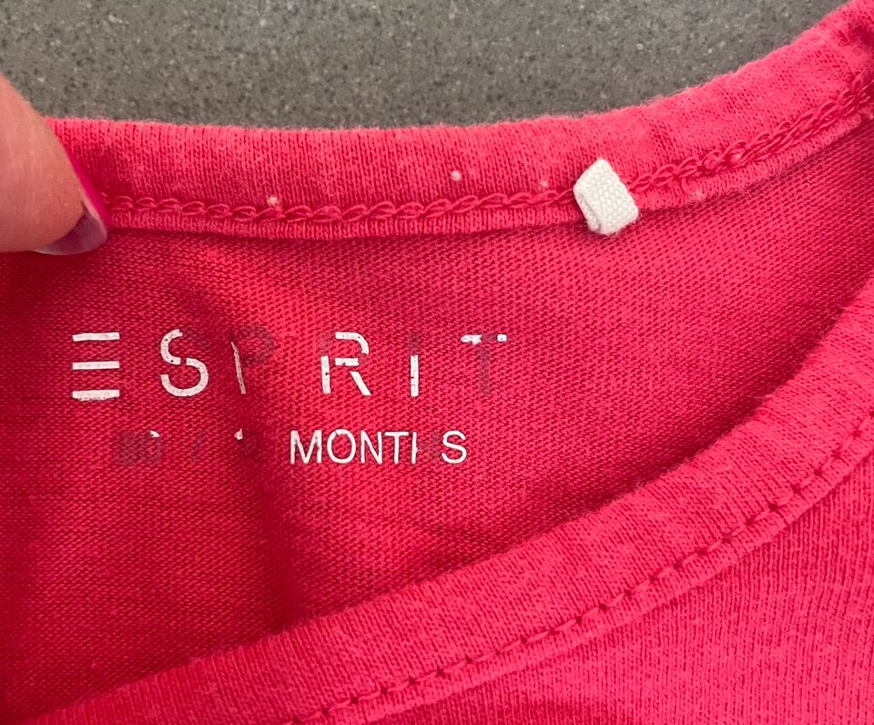 Zwillinge Mädels gegengleich 2 T-Shirts Esprit 74/80 Seepferd Eis in Aschaffenburg