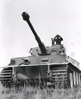 Tigerpanzer / Bilder Niedersachsen - Salzhemmendorf Vorschau