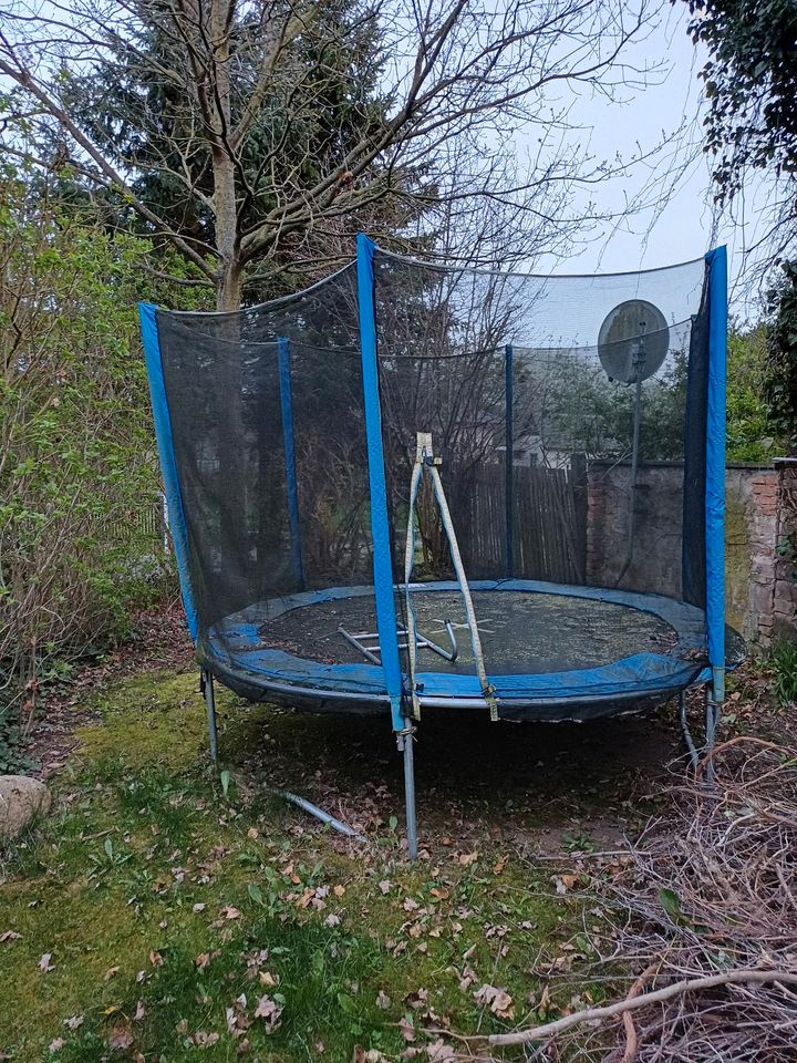 Trampolin 3 m in Freyburg (Unstrut)