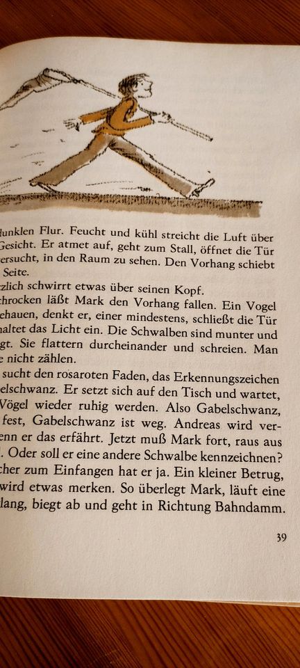 DDR Kinderbuch Schwalben über dem Schilf Buchfink in Freital