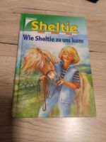 Sheltie - Wie Sheltie zu uns kam Wuppertal - Heckinghausen Vorschau