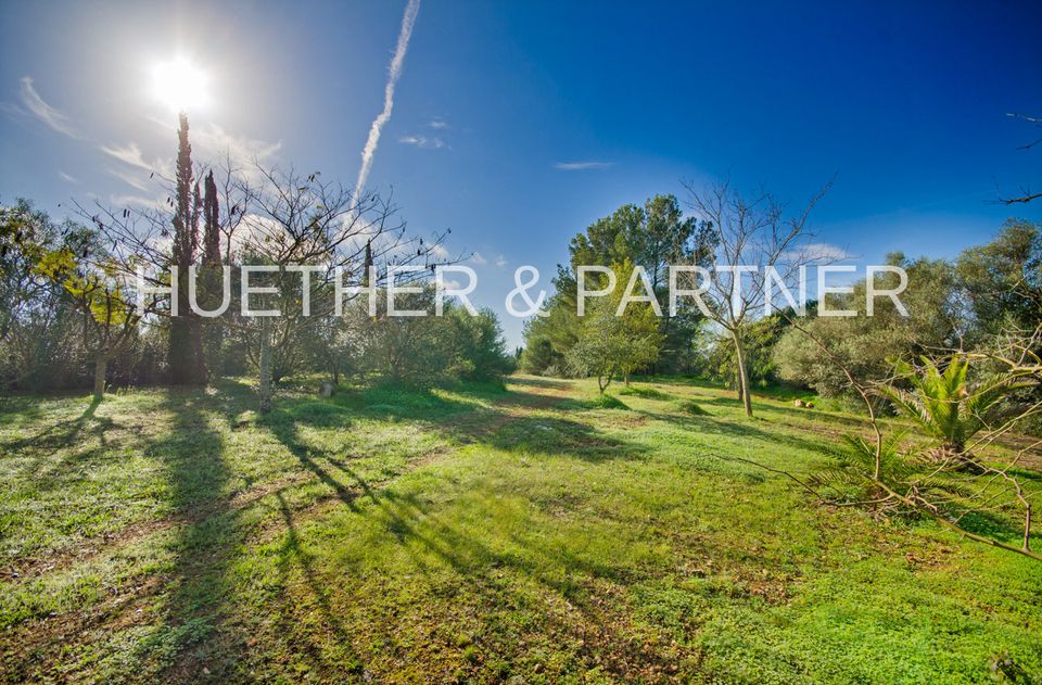 Traumhaft gelegene Finca mit Panoramablick und eigenem Wäldchen auf Mallorca (Ref: 23-001) in Saarbrücken