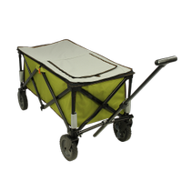 10T Cooler Trolley - faltbarer Bollerwagen, Strandwagen 76554 Nordrhein-Westfalen - Bocholt Vorschau