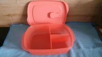 Microtub Micro Tub Ecki Tupperware neu Mikrowelle Bayern - Hallstadt Vorschau