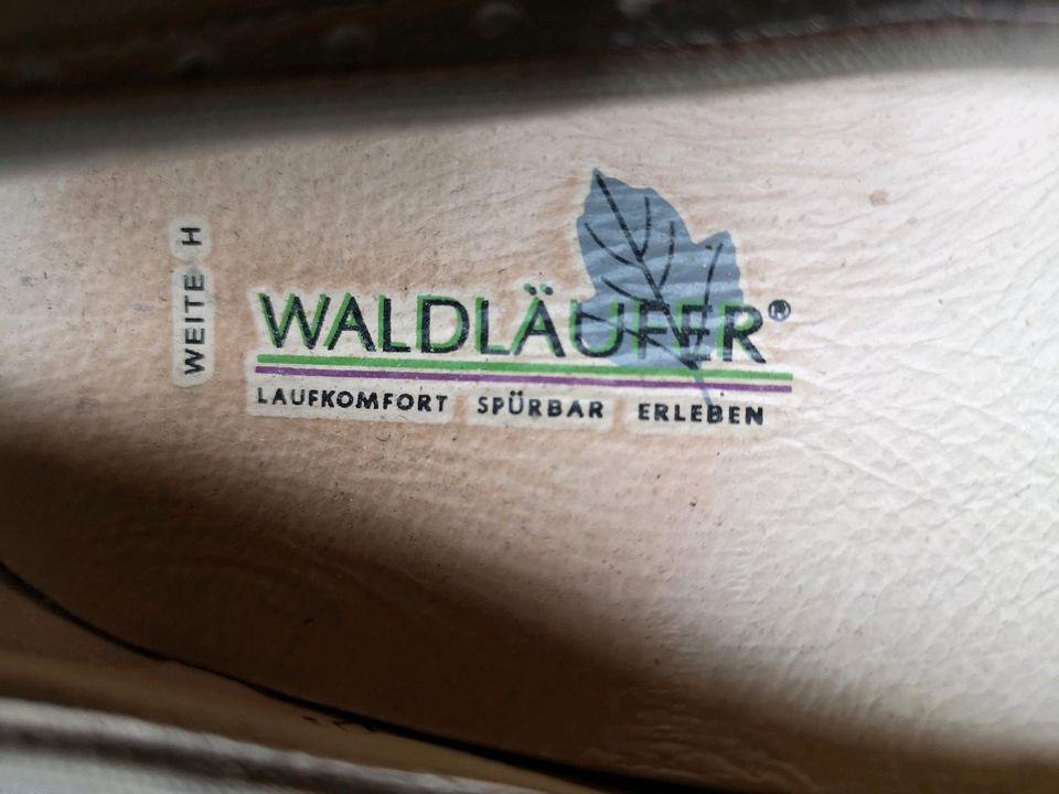 Waldläufer Schuhe Gr. 5 1/2, beige und bequem in Waldems