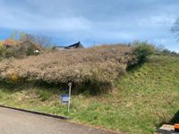 Großes Baugrundstück am Ende einer Sackgasse Rheinland-Pfalz - Niederkirchen Vorschau