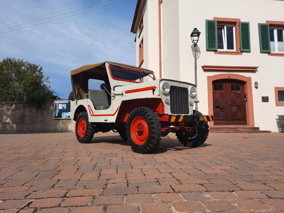 Jeep Willys/ H-Zulassung/Schweizer Fahrzeug in Emmendingen