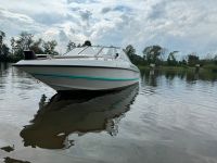 Motorboot/Sportboot 50 ps + neuen Trailer Brandenburg - Ketzin/Havel Vorschau