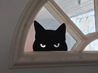 Katze Kopf Augen Licht Fenster Deko Silhouette Umriss schwarz Bergedorf - Hamburg Lohbrügge Vorschau