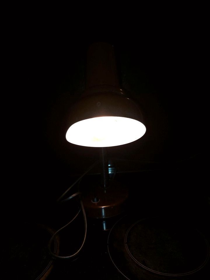 Tischlampe braun Lampe 70er Jahre Retro Vintage Flexibel in Cuxhaven