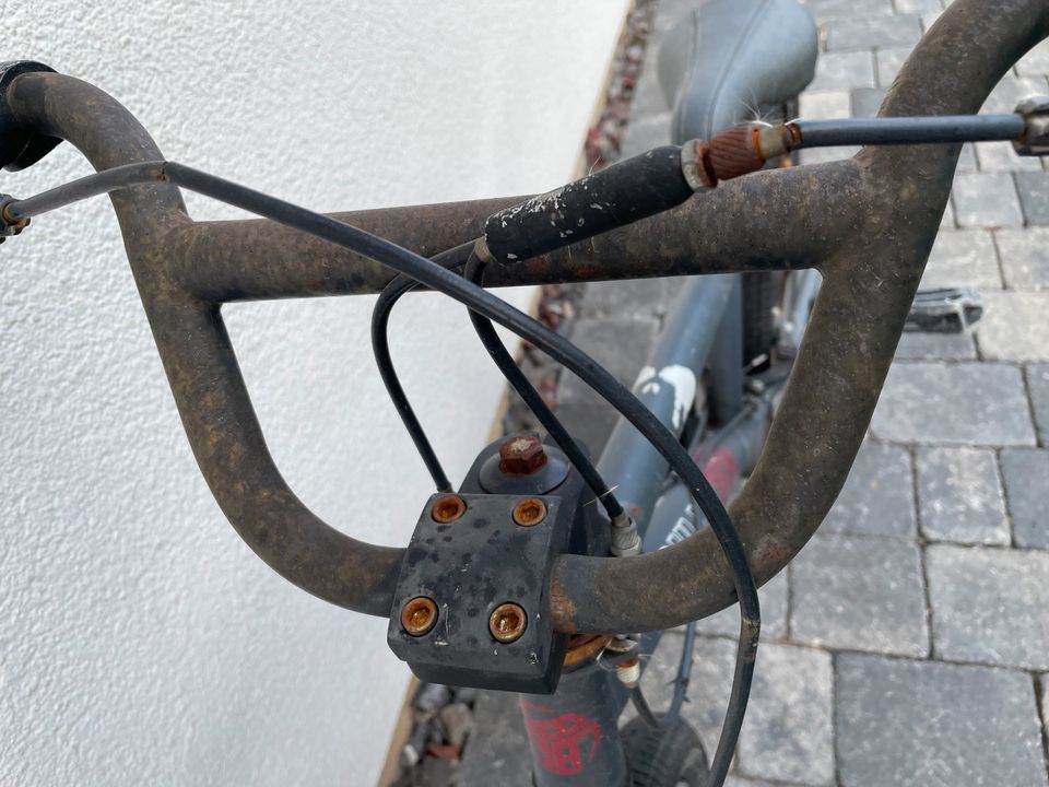 cooles BMX Rad Bulls schwarz Bike/Fahrrad in Sassenberg