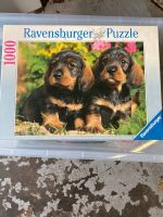 Puzzle 1000 Teile süße Dackel Nordrhein-Westfalen - Velbert Vorschau