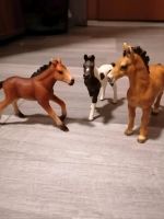 Schleich Fohlen set Niedersachsen - Rehburg-Loccum Vorschau