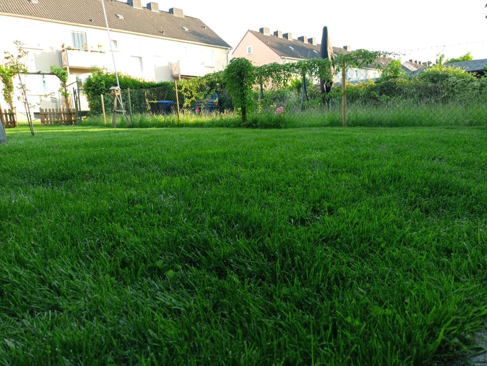 1 Platz frei Tagesmutter in Bergkamen - Oberaden Betreuung Kinder in Selm