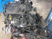 Motor Renault Opel Nissan 1.6 DCI R9M413 R9M408 121PS 116PS Berlin - Wilmersdorf Vorschau