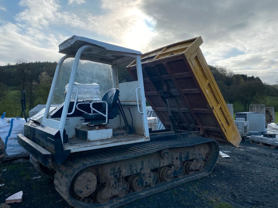 Yanmar C50R1, Dumper, Kettendumper in Bad Soden-Salmünster