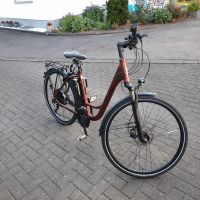 Raleigh E Bike Damen Trekking Fahrrad Nordrhein-Westfalen - Nümbrecht Vorschau