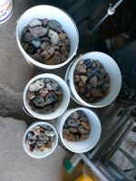 Hühnergötter Steine mit Natürlichen löchern drinnen Nordfriesland - Seeth Vorschau