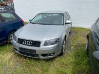 Audi A3 1,6 Benzin Euro4 Klimaautomatik kein Tüv Hessen - Wächtersbach Vorschau