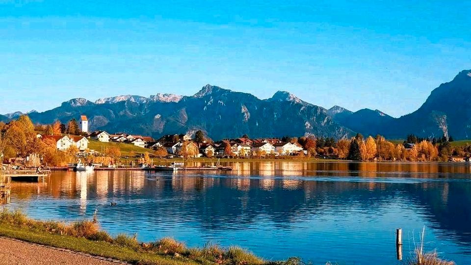 Ferienwohnung Hopfen am See Füssen Allgäu Bayern Hund FEWO in Füssen