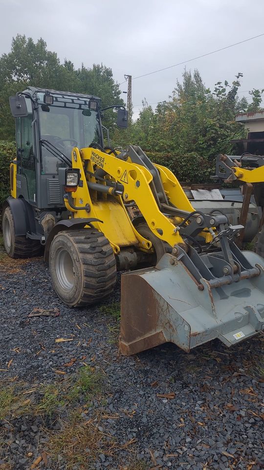 Minibagger Bagger Radlader Rüttelplatte Baumaschien Mieten Leihen in Grünheide (Mark)