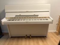 Sauter Klavier neuwertig Model 113 5jahre Garantie Dortmund - Innenstadt-West Vorschau