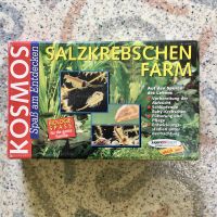 Salzkrebschen KOSMOS 652616 Spaß am Entdecken Farm Biologie OVP Niedersachsen - Harsum Vorschau