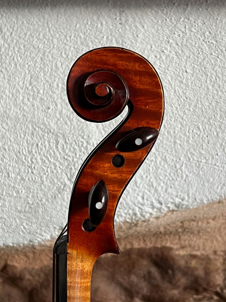 4/4 Geige Karel Boromejski Dvorak Prag 1906 Violine Meistergeige in Freiburg im Breisgau