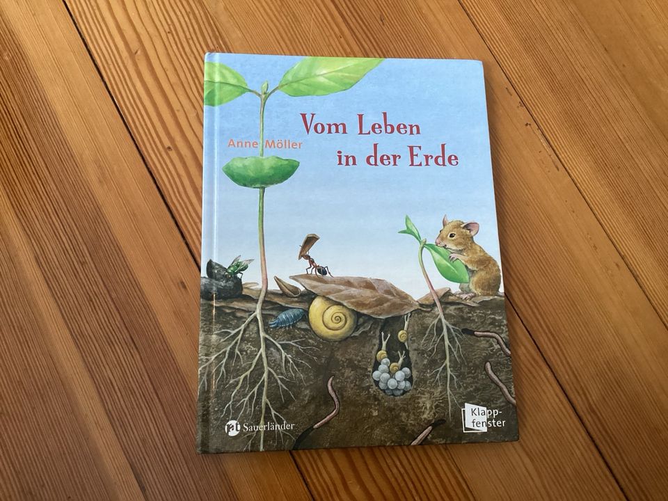Im Ameisenbau / Vom Leben in der Erde von Anne Möller in Konstanz