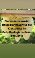 Bienenschwarm Hannover - Herrenhausen-Stöcken Vorschau