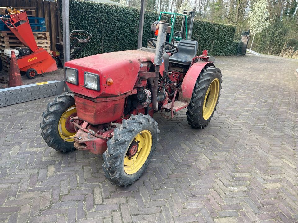 bungartz / gutbrod schlepper / traktor / kleintraktor in Gronau (Westfalen)