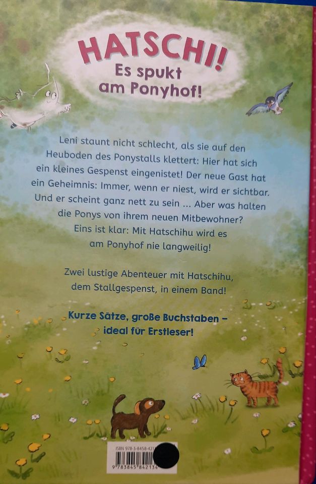 Buch "Das kleine Stallgespenst" in Plochingen