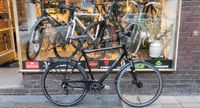 Pegasus Trekking City Fahrrad mit Shimano Alfine 11 Gang Nabensch Innenstadt - Köln Altstadt Vorschau