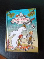 Die Schule der magischen Tiere ermittelt, Buch Nordrhein-Westfalen - Altenbeken Vorschau