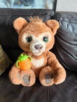 ❤️ FurReal Cubby Hasbro Bär Sachsen - Neukirchen/Erzgeb Vorschau