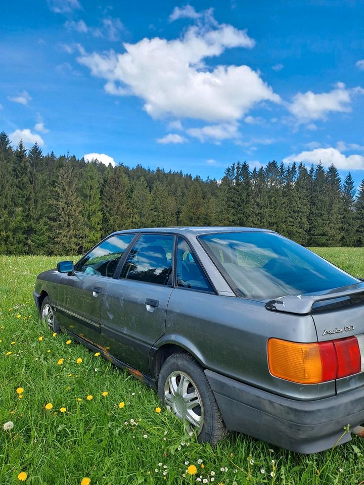 Audi 80 B 3 in Steingaden