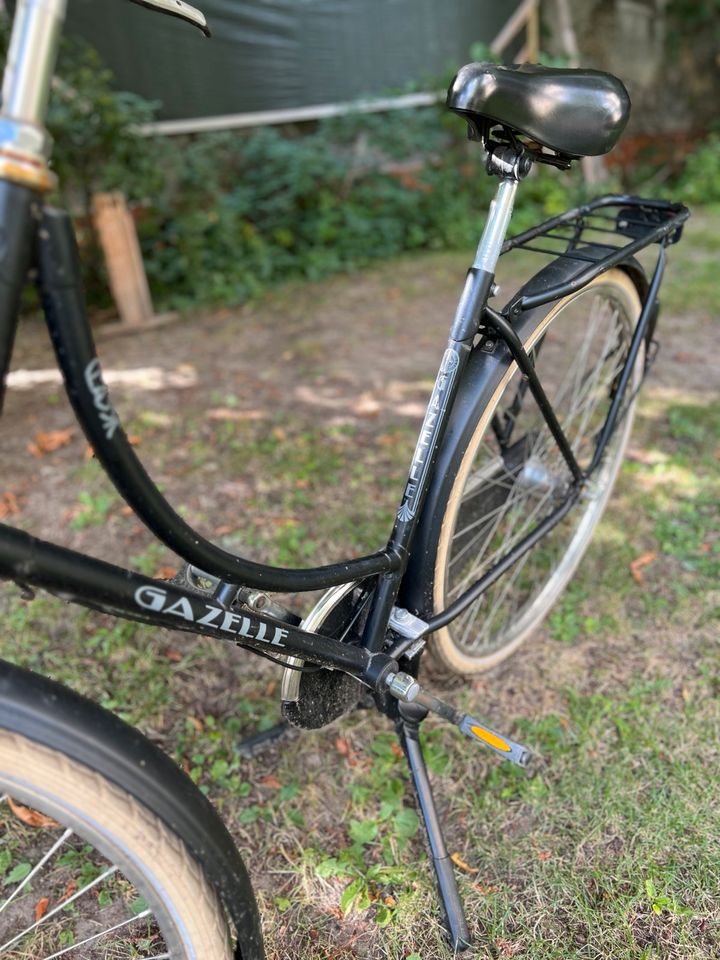 Hollandrad Gazelle 54 Rahmen schwarz matt Damenrad in Berlin