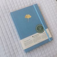 Semikolon Notizbuch Hardcover A5 Ginko blau Tagebuch Journal Schwerin - Weststadt Vorschau