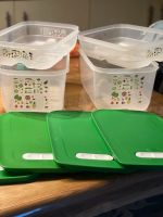 Tupperware Klima Oase 4,4 Liter  1,8 Liter Neu Nordrhein-Westfalen - Inden Vorschau