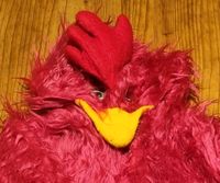 Pinkes Huhn Hühnerkostüm Karneval Größe 140 Nordrhein-Westfalen - Senden Vorschau