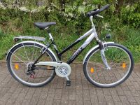Fahrrad Alu-Rex mit neuen Bereifung 28 Zoll Schleswig-Holstein - Flensburg Vorschau