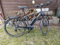 E Bike Raleigh Stoker B9 500W Nordrhein-Westfalen - Rheine Vorschau