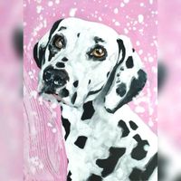 Wandbild Modern Dalmatien Acryl auf Leinwand 30x40cm Bayern - Kaufbeuren Vorschau