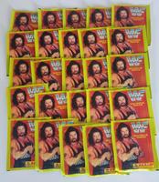 25 WWE Wrestling WWF Sticker Panini Aufkleber verschlossen 1995 Thüringen - Erfurt Vorschau