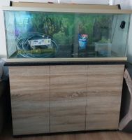 Aquarium 240l mit Unterschrank Baden-Württemberg - Loßburg Vorschau