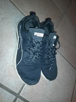 Puma Schuhe Gr. 45 Niedersachsen - Melle Vorschau