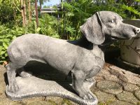 Dackel 16kg 50cm Dachshund Teckel Steinguss Kurzhaar Jagdhund Düsseldorf - Pempelfort Vorschau