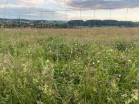 Ökopunkte UG 17 Südliches Alpenvorland Ausgleichsfläche Baden-Württemberg - Überlingen Vorschau